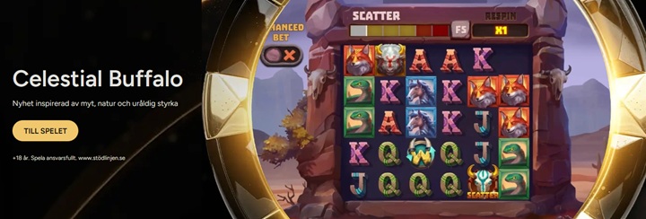 Storspelare casino